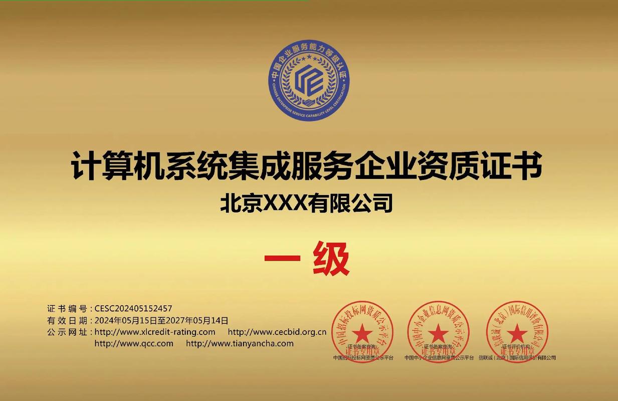 计算机系统集成服务一级证书 行业标准与专业价值