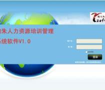 管理软件开发、销售与计算机系统集成服务的综合解析